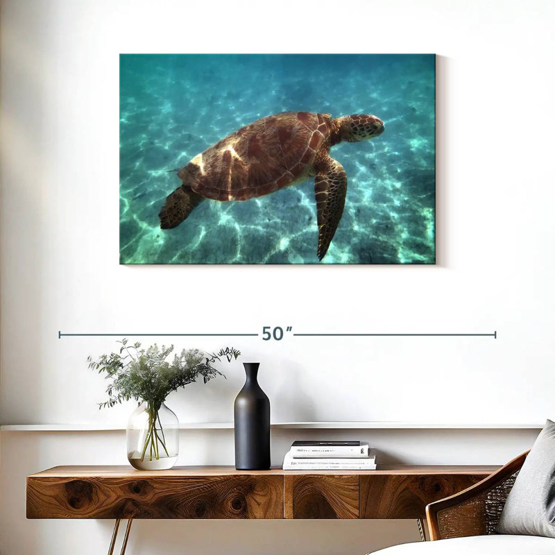 Brampt Endangered Hawksbill Turtle