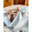Couverture pour haricots Pet Comfort