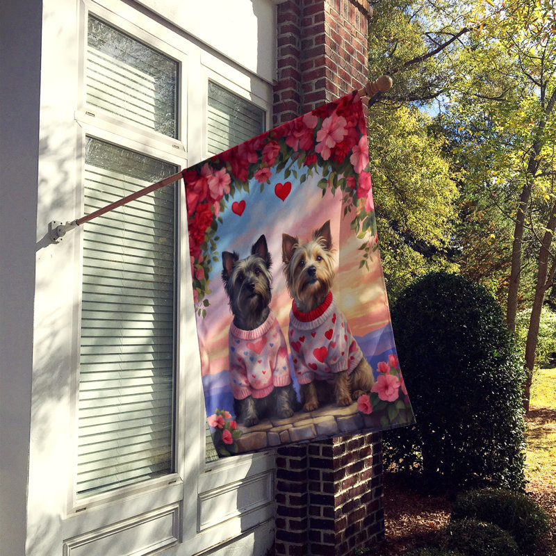 Double Sided 40'' H x 28'' W Polyester Valentine's Day House Flag