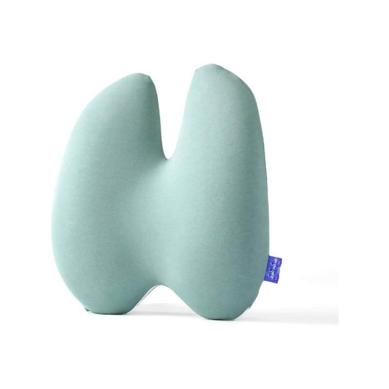 Coussin de soutien lombaire avec sangle extra-dense