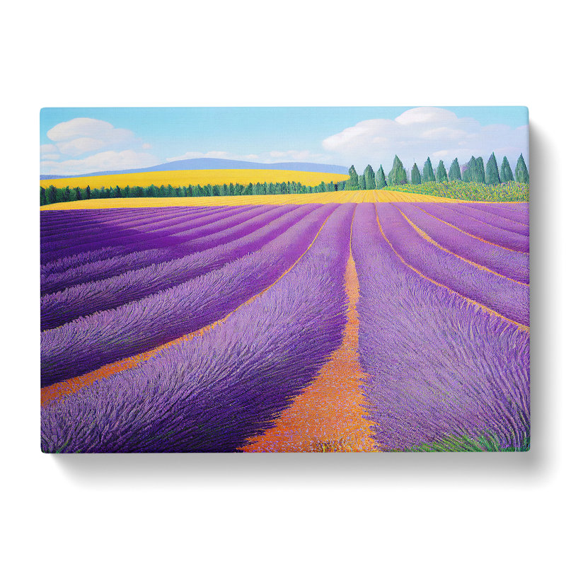 Overwhelming Lavender Flower Field - Wrapped Canvas, 50cm H x 76cm W x 3cm D