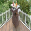 Chariot de barbecue extérieur de 40,5 po avec plateau en acier inoxydable, armoire de rangement d'extérieur en bois massif avec abattant, un tiroir, porte-serviettes, chariot de cuisine roulant avec roues verrouillables pour jardin gazonné, bleu gris-129238735