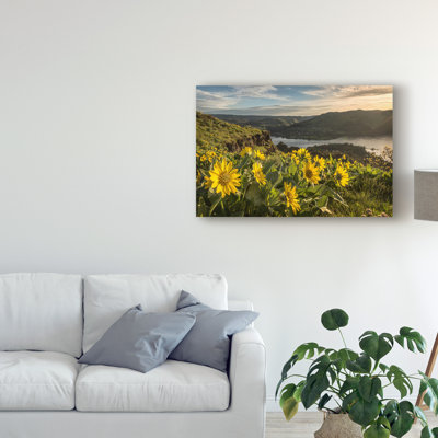 «Soake up the Sun» par Danny Head - reproduction de photo sur toile