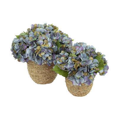 Arrangements floraux d'hortensias d'automne Carytown