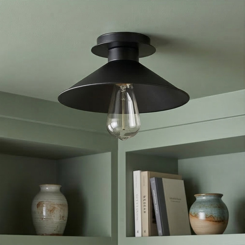 Carsonhill 1-Light Flush Mount, Black