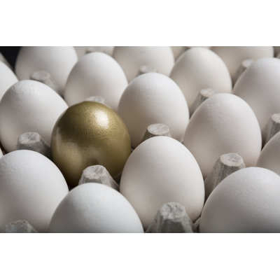 The Golden Egg - Wrapped Canvas Print