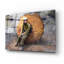 " Halvey " by Thomas Haney-399560528