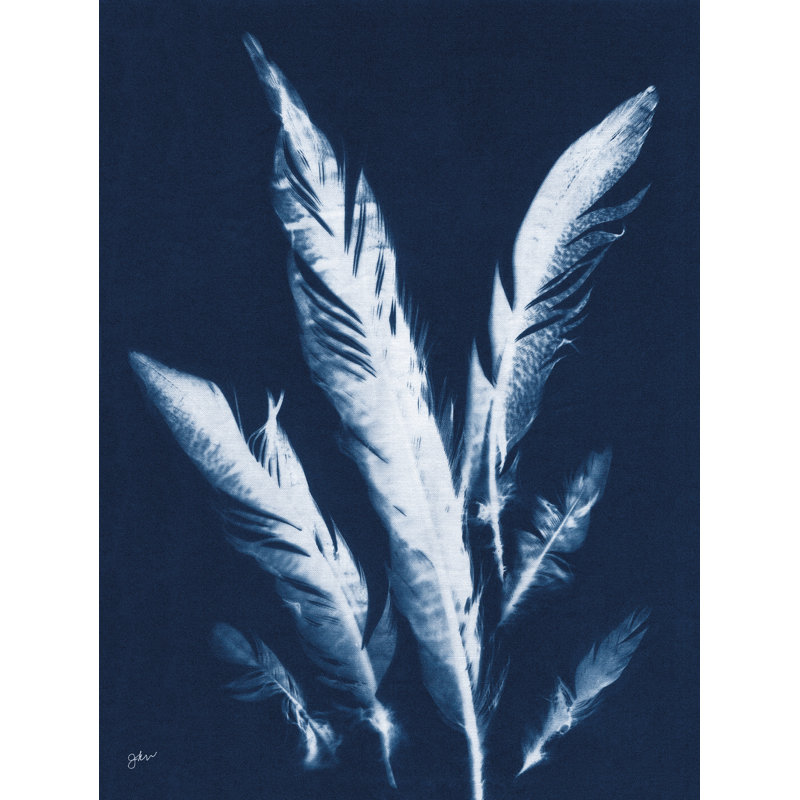 Indigo Feathers II par Julie Norkus, Érable, reproduction sur toile encadrée sans pas, H 24 po x l 18 po
