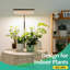 Lampe de culture pour bureau, lumière à spectre complet pour plantes d'intérieur, lampes de culture avec minuterie, 6 niveaux de luminosité, hauteur réglable