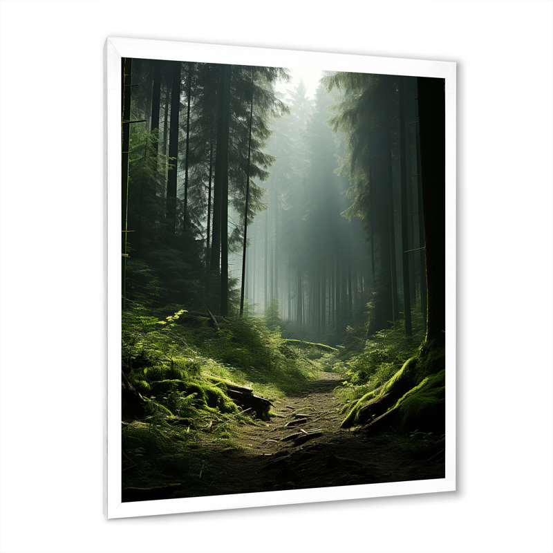 «Deep Into The Forest» - art mural forêt, H 20 po x l 12 po x P 1 po, Cadre simple blanc