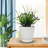 Delva Pot Planter-1722595714