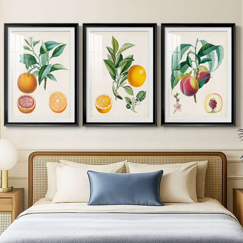 Orange de Malte - reproduction sur mesure encadrée de qualité supérieure - 3 pièces, Noir, H 21 po x l 30 po