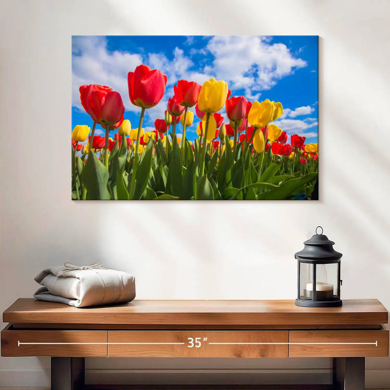 Champ de tulipes Harnek Spring, H 16 po x l 24 po