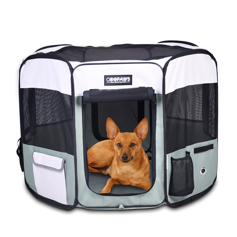 Enclos pour animaux doux, Vert de schiste, H 24 po x l 36 po x P 36 po