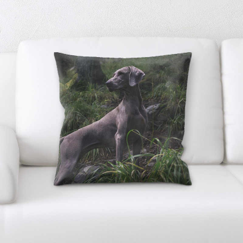 Housse de coussin carré et insert