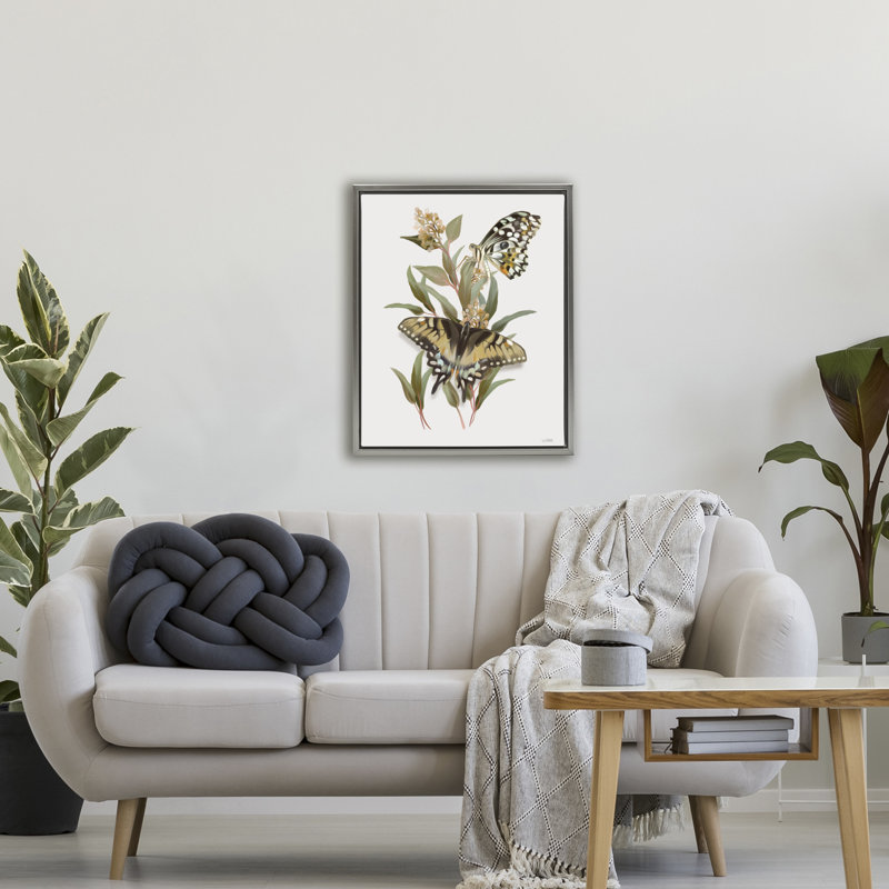 Cadre flottant avec herbes vertes Butterfly Grove, conception de House Fenway, Cadre flottant gris lustré, H 31 po x l 25 po