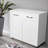 Two Door Side Table-White