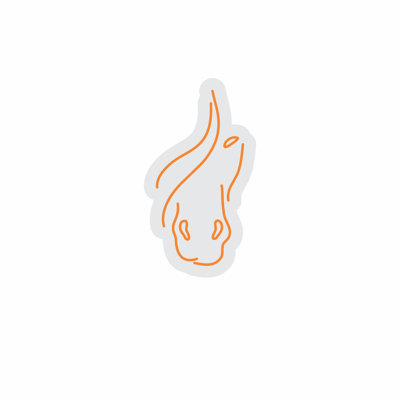  | Neon Flame Design Neon Sign | Crafted with Unbreakable Flexible LED Neon Tubing That Emits a Bright, Consistent Orange Glow for Over 50,000 Hours of Durable Use | 25x14 | Orange