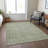 Machine Washable Indoor/Outdoor Xhevrie Sage Rug-171363199