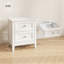 HOMCOM Nightstand with 2 Drawers White
