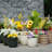 Flowerpot-2085358642