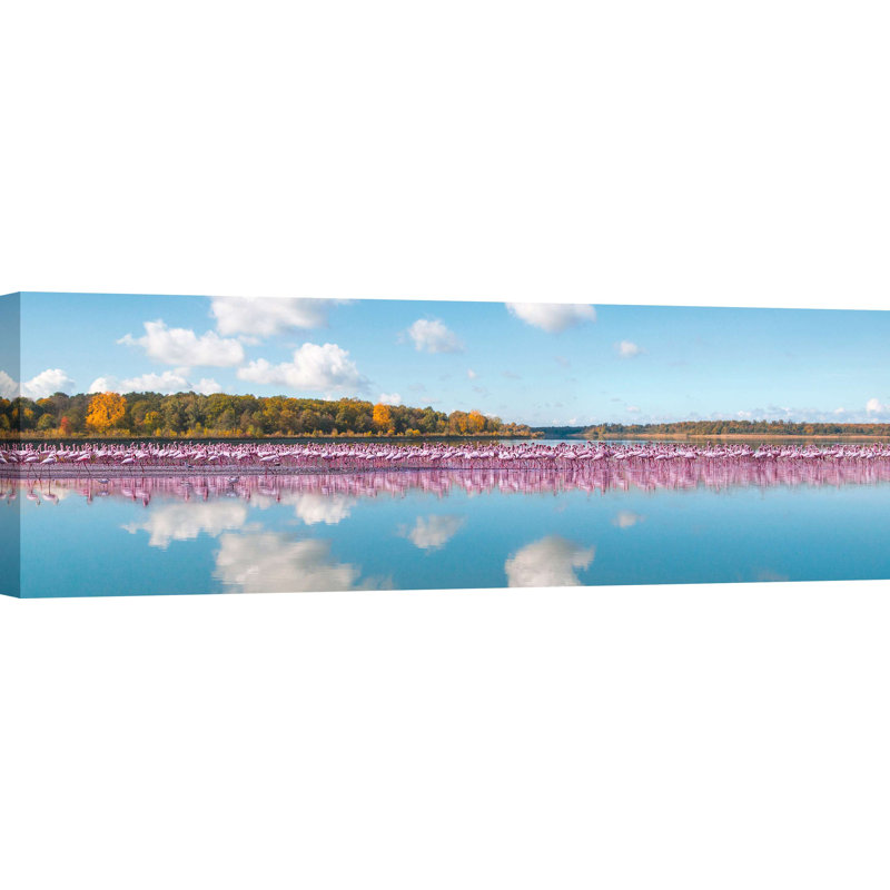 Flamingos Reflection, Camargue, France (detail) 1 Piece Wrapped Canvas Panoramic Wall Art, 35cm H x 100cm W x 4cm D