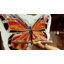 Panneau de vitrail Fine Art Lighting