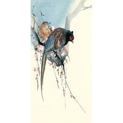 Pheasants - Wrapped Canvas Print