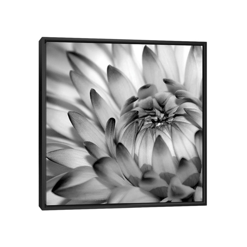 « fibonacci ii », reproduction de photo sur toile, H 18 po x l 18 po x P 1,5 po, Toile encadrée noire, Pas de tapis