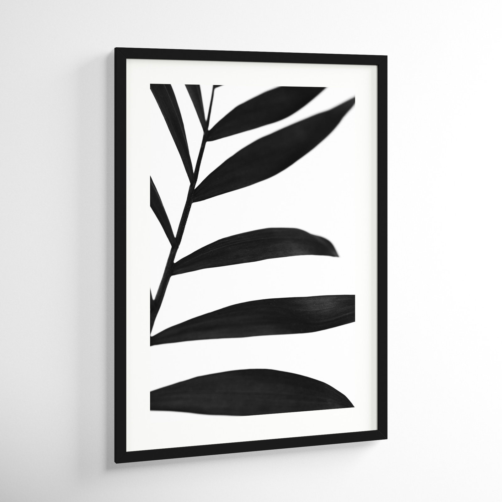 Black Palms V by W. Stramel, Black Framed Paper, 43" H x 31" W