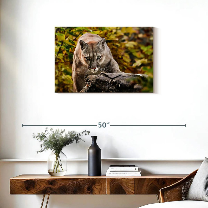 Brampt Hunting Cougar, 20'' H x 30'' W