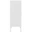 Sadia Cabinet Office Storage Cabinet-321340944