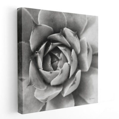 «Garden Succulent II», reproduction d'art sur toile
