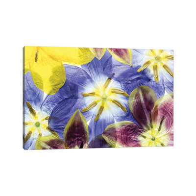 Tulips by Mandy Disher - Wrapped Canvas Painting