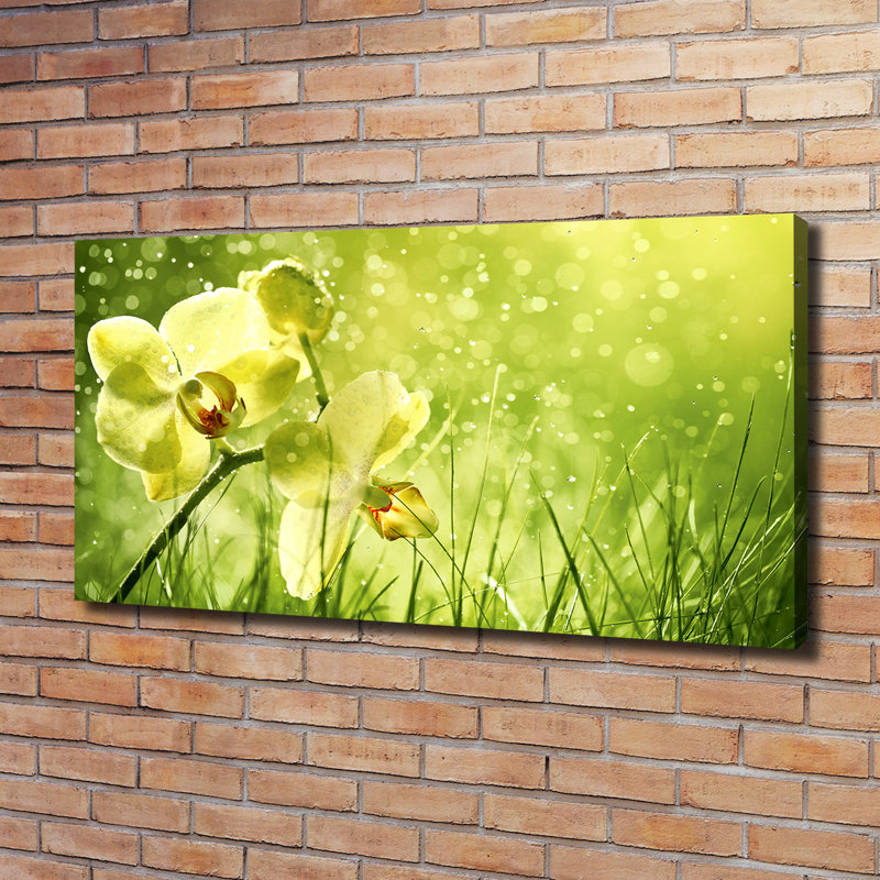 Orchid - Wrapped Canvas Print