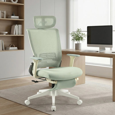 Makenzie Ergonomic Office chair with Adjustable Armrest and Foldable Backrest,minimal assembly by Inbox Zero