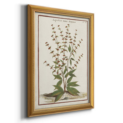 Toile encadrée de qualité supérieure «Munting Botanicals III» - prête à être accrochée