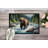 Alaskan Wilderness Grizzly Bear Doormat-112746438