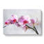 Orchid Flowers Vol.5 - Wrapped Canvas-61842750