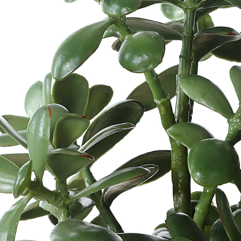 Plante d'appoint Winslow