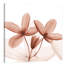 Journey Clematis - Wrapped Canvas Print-395878864