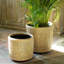 La Boheme Rattan Planter