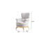 Ensemble de salon 3 pièces gris avec accoudoirs et pieds décoratifs dorés, revêtement lombaire doux, design moderne, fermeté moyenne ferme, dossier rembourré, accoudoirs roulés pour la zone principale-365322032