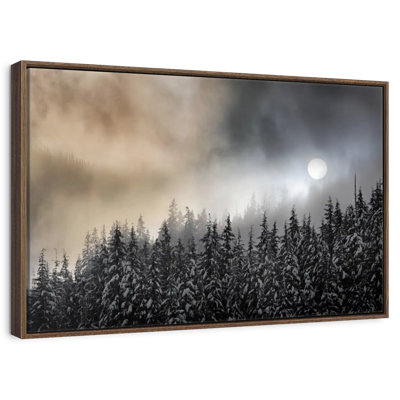 Winter Sun Haze