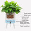 Wood Plant Pot