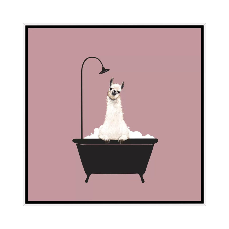 Lama dans une baignoire, Toile blanche encadrée, H 37 po x l 37 po x P 1,5 po