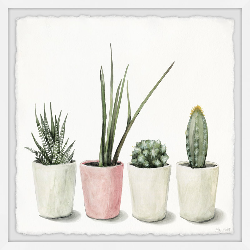 Reproduction encadrée «Pots Succulents», H 24 po x l 24 po x P 1,5 po