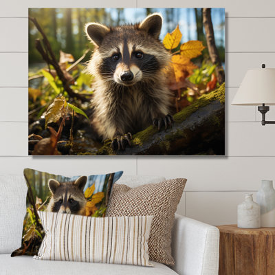 Raccoon Ultra - Animals Canvas Art Print