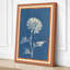 Daisy in Blueprint Botanical - Wrapped Canvas-1919678384-1919678388