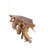 Eiker Solid Wood Console Table-1579037349